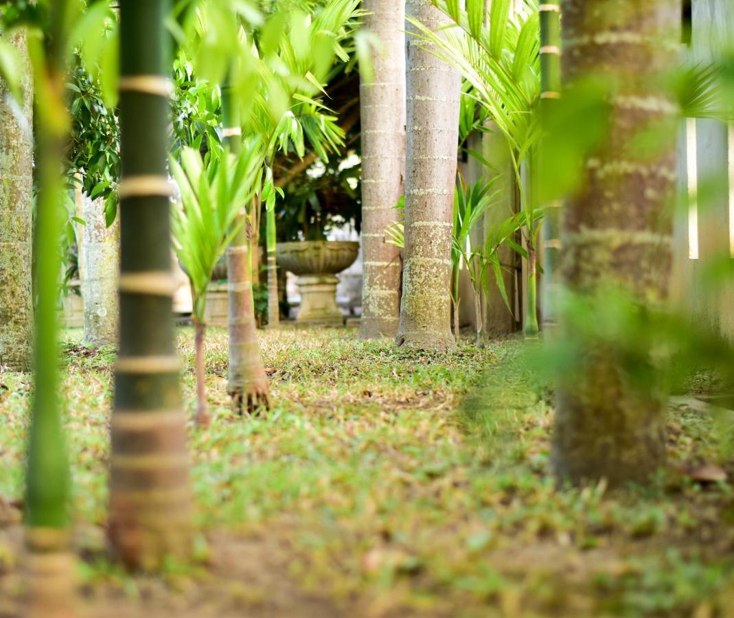 Chiang Mai Heritage House Εξωτερικό φωτογραφία